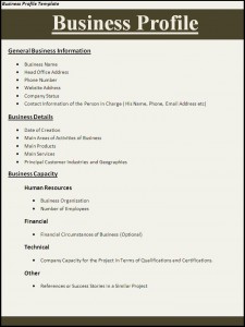 Company Profile Template on Business Profile Template