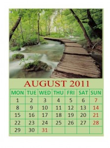 daily calendar template