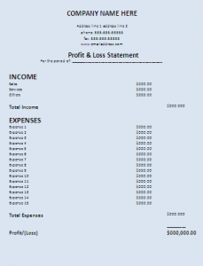 Profit and loss statement template