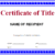 Certificate of Title Template