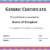 Certificate of Participation Template