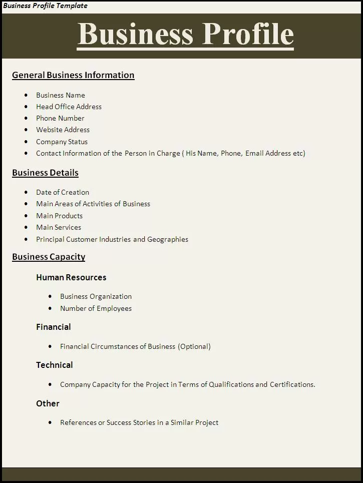 Business Profile Template business profile template